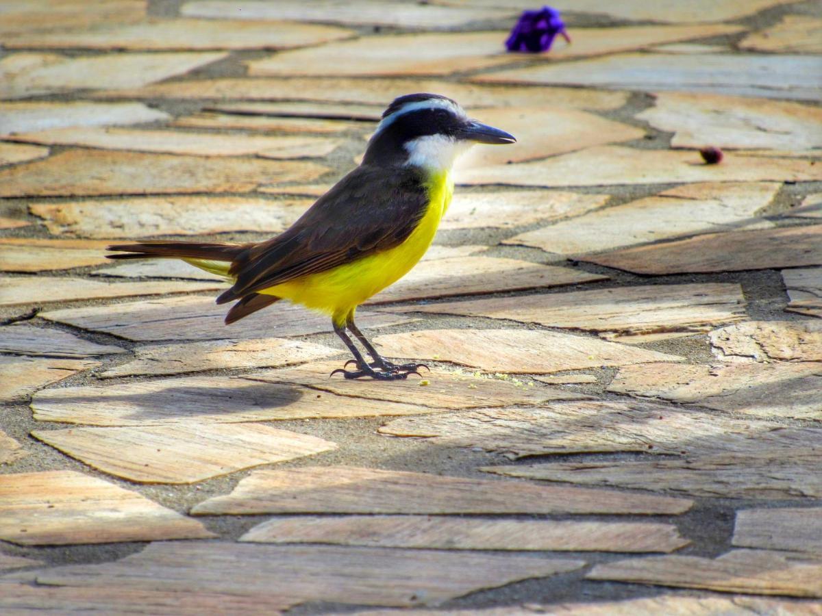 Pousada Mandalla Serra do Cipo National Park Exterior foto